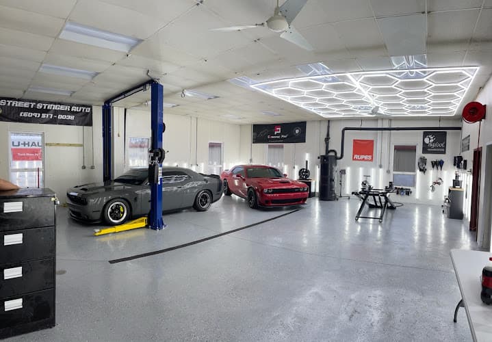 Street Stinger Auto LLC.