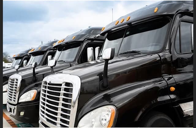 Bee Logistics LLC