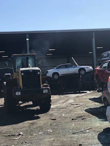 Wilkins Auto Parts