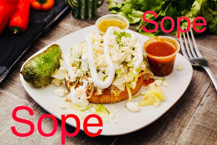 MR TACO TRUCK 2
