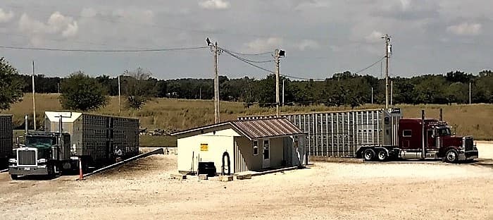 Tom's Trailer Washout